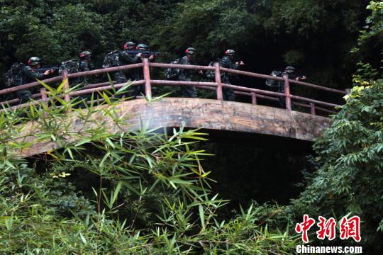 圖為來自武警福建總隊三明、龍巖、南平支隊100余名特戰(zhàn)隊員在福建省三明市永安?揲瞪嬌?展特戰(zhàn)極限練習(xí)?！『?攝