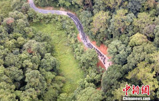 圖為來自武警福建總隊三明、龍巖、南平支隊100余名特戰(zhàn)隊員在福建省三明市永安?揲瞪嬌?展特戰(zhàn)極限練習(xí)?！×_武 攝